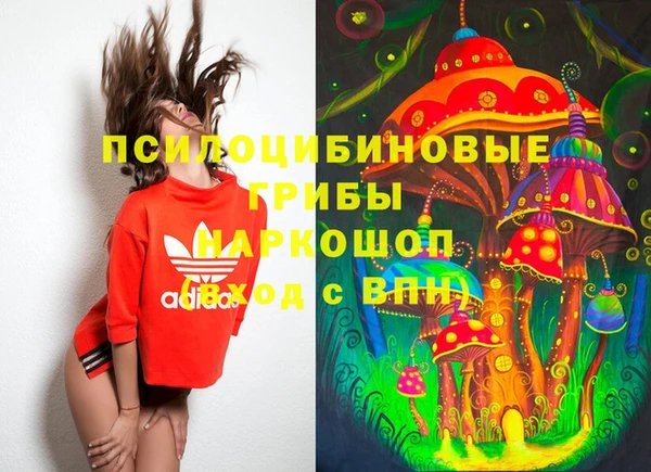 ешки Балахна