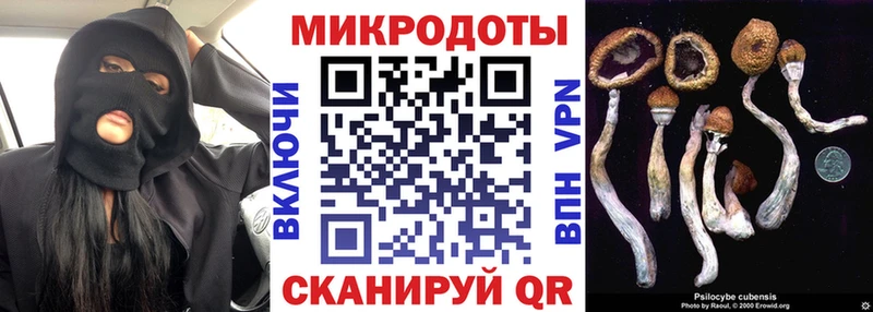 Галлюциногенные грибы Cubensis Козьмодемьянск