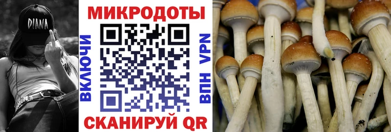 блэк спрут онион  Козьмодемьянск  Галлюциногенные грибы MAGIC MUSHROOMS  где купить наркотик 