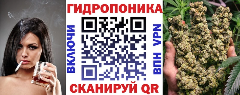 купить  сайты  Козьмодемьянск  Конопля ГИДРОПОН 